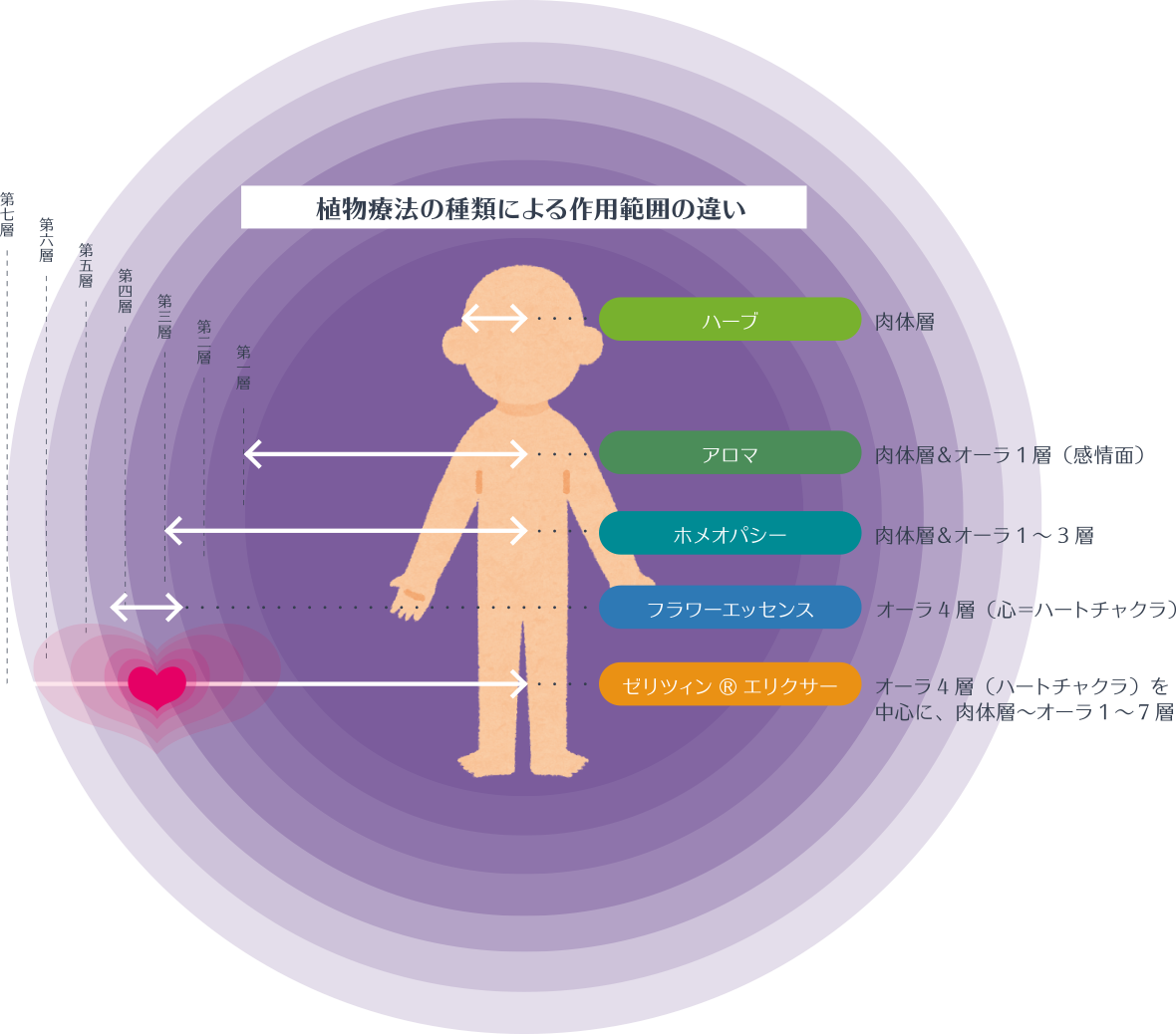 ゼリツィン® エリクサーの作用範囲は？